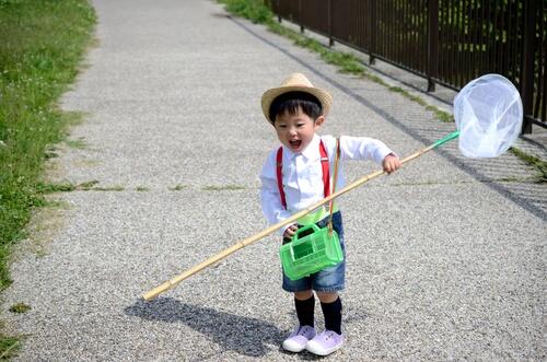 虫取り網はどんなものがおすすめ 選び方や使い方を紹介 子育て オリーブオイルをひとまわし