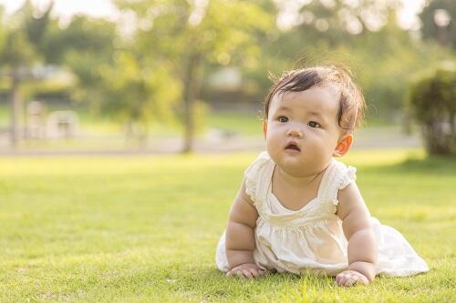 生後11ヶ月の赤ちゃんが喜ぶ遊びって 知育玩具や公園遊びまで紹介 子育て オリーブオイルをひとまわし