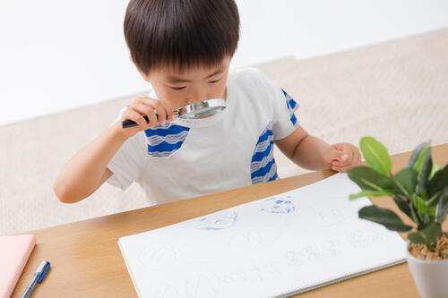 自由研究最後の大仕事 模造紙へのまとめ方を小学校教諭が伝授 子育て オリーブオイルをひとまわし