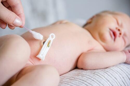 新生児のへその消毒方法とは 適切なケア方法と注意点 子育て オリーブオイルをひとまわし