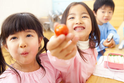 幼稚園児のお弁当はこう作ろう！作り置きレシピも紹介！