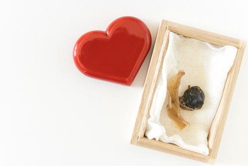 へその緒の保管方法は 注意点とおすすめのケース3選や処分方法まで紹介 子育て オリーブオイルをひとまわし