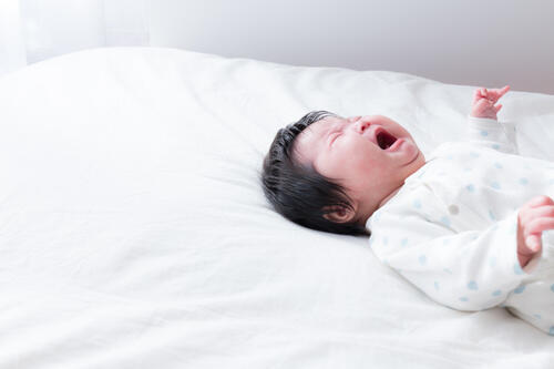 赤ちゃんの安全対策 コンセントを封じるアイテムと選び方を紹介 子育て オリーブオイルをひとまわし 赤ちゃんの安全対策 コンセントを封じるアイテムと選び方を紹介 子育て オリーブオイルをひとまわし