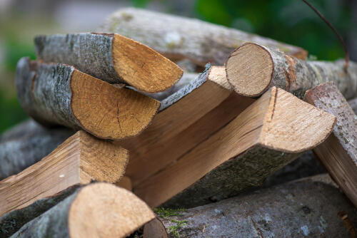 薪の種類は使い分けが大事！火起こしに欠かせない乾燥度の見極め方