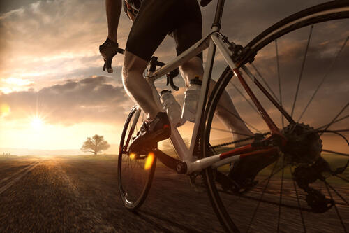 サイクリングの消費カロリーはどれくらい ダイエットに効果はあるの 身嗜み オリーブオイルをひとまわし