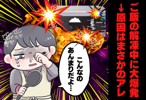 【衝撃のメシ事件】「バーン！ガチャン！」ごはん解凍中に、レンジ内で大爆発。→温めてただけで爆発音！一体何が…