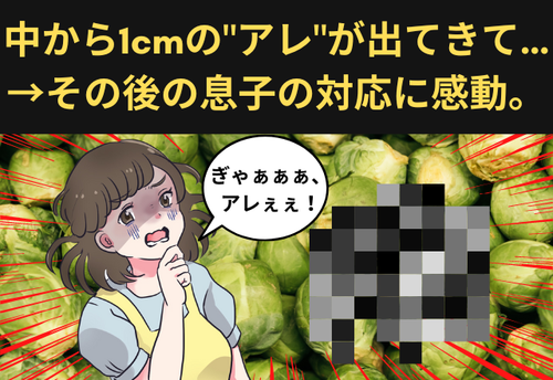 【衝撃！料理あるある事件】「キャベツ～♪…って、ぎゃぁぁ！？」中から1cmの