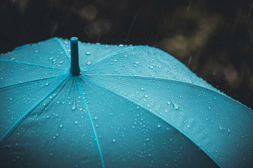 雨に濡れた傘の写真