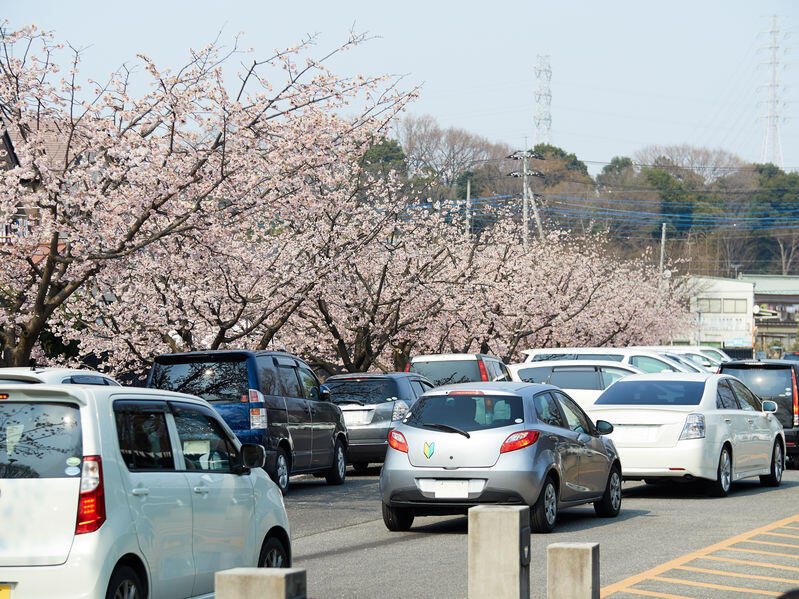 初心者マークの正しい位置は ありがちな間違った取付け位置とは 暮らし オリーブオイルをひとまわし