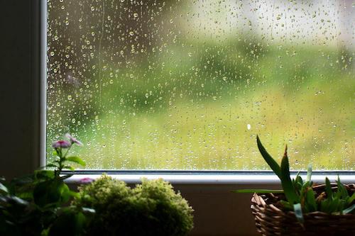 雨が降っている窓の向こうの写真