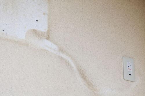 壁紙の剥がし方は意外と簡単 温水スプレーで濡らしながら剥がそう 暮らし オリーブオイルをひとまわし