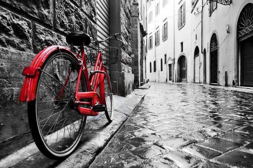 チェーンカバーが付いている赤い自転車の写真