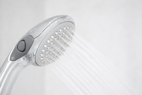シャワーヘッドの散水板のアップ写真