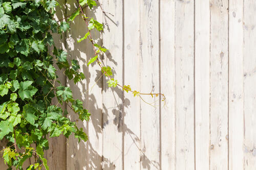 庭に目隠しフェンスを設置して 丸見え 問題を解消 自作方法も紹介 暮らし オリーブオイルをひとまわし