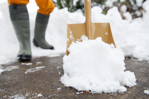 雪を融雪槽に投入しようとしているところのイメージ写真