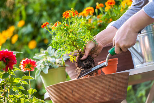 DIYで庭を自分好みにアレンジしよう！ひと工夫でオシャレに変身。