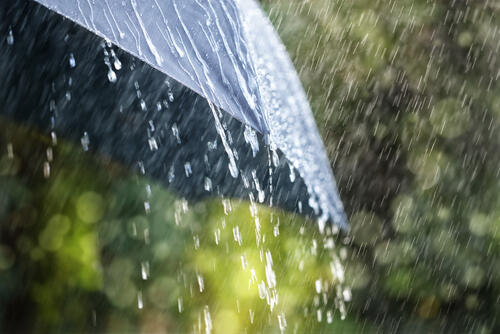 傘に降り注ぐ雨の写真