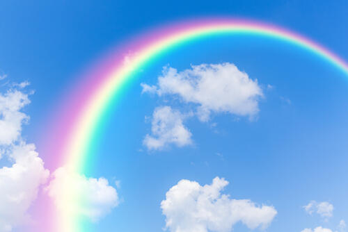 空に架かる虹の写真