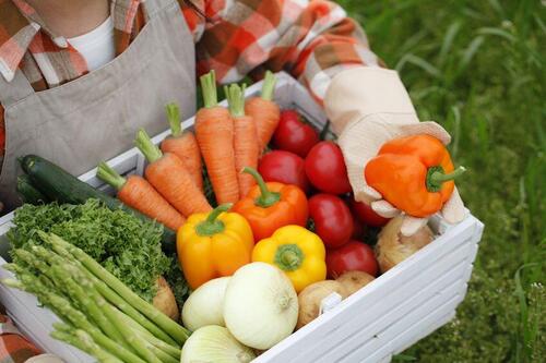 ベランダでの家庭菜園に必要な道具＆簡単に育てられる果物とは？ 