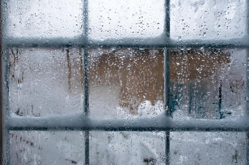 窓を閉めてもどんどん冷えていく 防寒 結露対策の基本 暮らし オリーブオイルをひとまわし