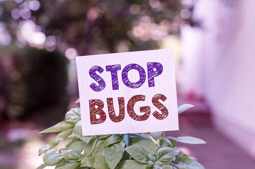 ゴキブリ対策は３ステップが基本！生態を知り対処しよう！