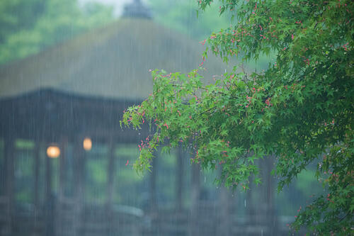 雨の音が「睡眠によい」とされる理由は？雨の音の意外な効果も解説！