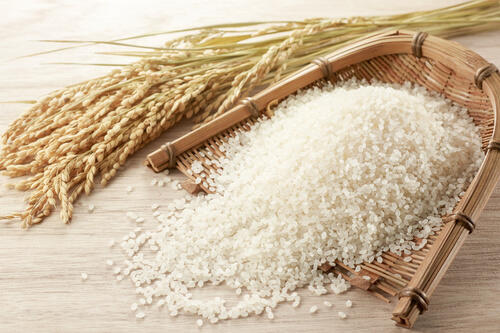 米と稲、ざるの写真