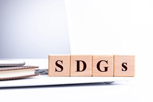 SDGsは環境問題のこと？大人として知っておきたいSDGsを解説