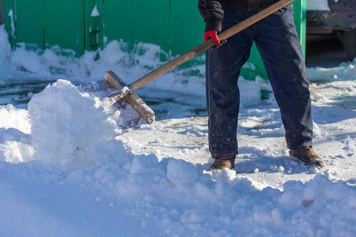 雪かき指数ってなに？雪国の生活を守る予報の種類と必要性とは