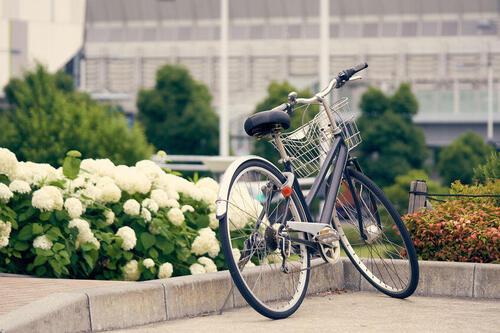 チェーンカバーが付いた自転車の写真