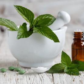 害虫 タグ 暮らし オリーブオイルをひとまわし