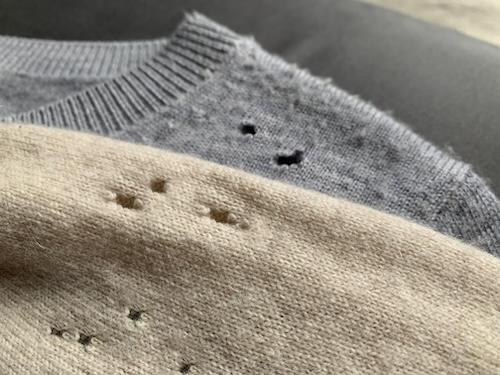 虫食い穴があいたセーターの画像