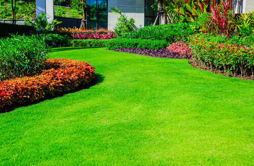 綺麗な芝生でも手入れしないと台無し 庭の芝生の簡単手入れ法とは 暮らし オリーブオイルをひとまわし