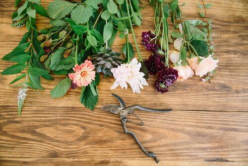 切り花を長持ちさせる秘訣とは 美しさを楽しむための4つの方法 暮らし オリーブオイルをひとまわし