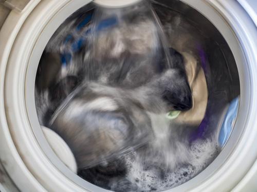 洗濯物をすすいでいる洗濯機の写真
