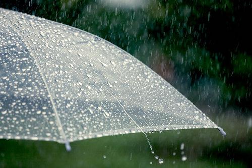 雨粒が滴り落ちるビニール傘の写真