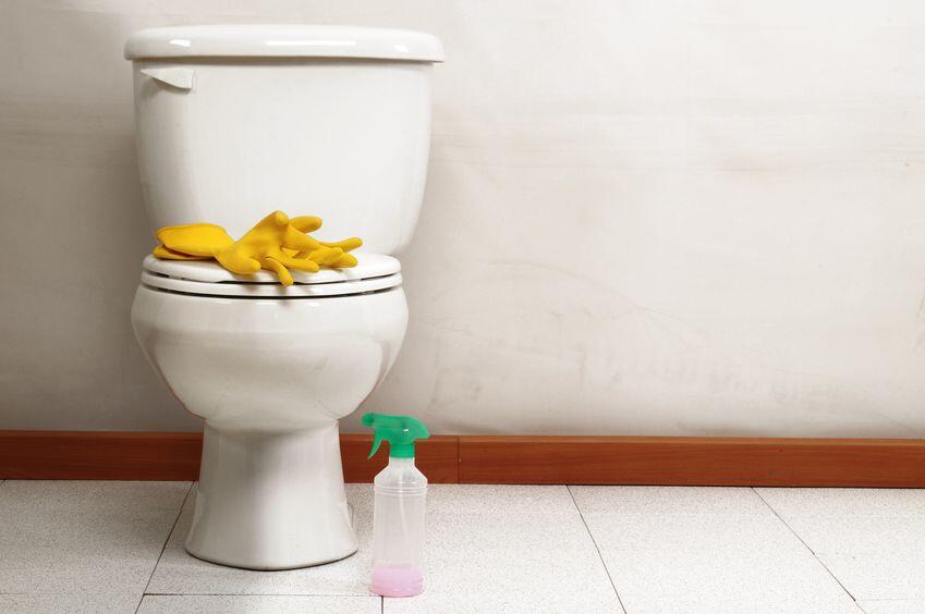 トイレの壁の汚れ その正体とは お手入れ方法とキレイに保つコツ 家事 オリーブオイルをひとまわし