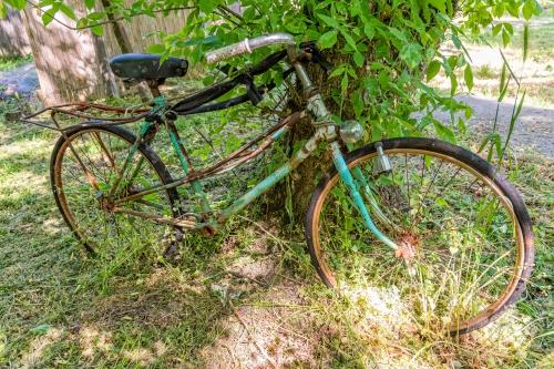 捨てられた自転車