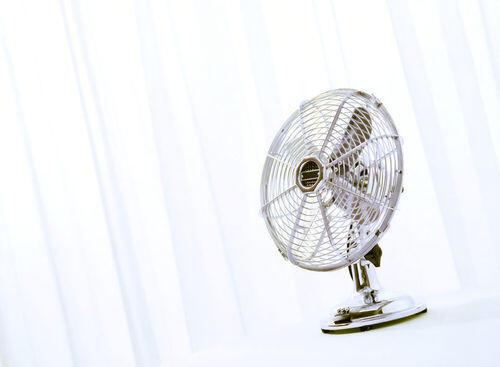 部屋干しに扇風機をおすすめする理由 生乾き臭を抑えるコツも伝授 家事 オリーブオイルをひとまわし 部屋干しに扇風機をおすすめする理由 生乾き臭を抑えるコツも伝授 家事 オリーブオイルをひとまわし