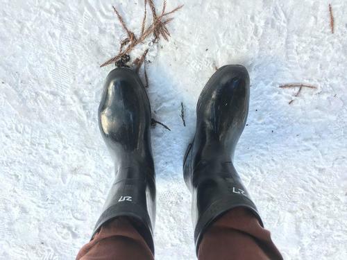 雪の日の靴をどうするか問題の解決策まとめ。仕事には何がベスト？