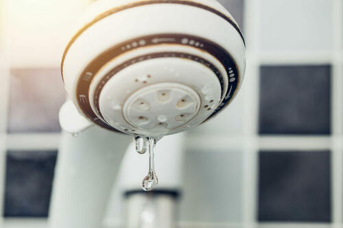 シャワーヘッドの汚れ掃除は簡単 放置してた内部までゴッソリ落とす 家事 オリーブオイルをひとまわし