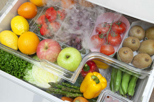 食材の鮮度と温度は関係あり！冷蔵庫に効率よく収納するコツとは