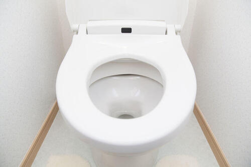 カビキラーでトイレ掃除はできる？上手な使い方と注意点を知ろう