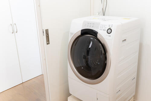 洗濯機の排水トラップの役割とは 外し方のコツや掃除方法などを解説 家事 オリーブオイルをひとまわし