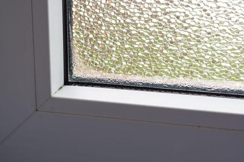 窓に周囲に発生するカビの原因を解説！効果的な除去と予防方法も紹介