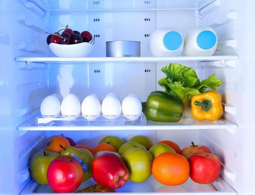 冷蔵庫や製氷機の掃除をしよう！カビが生える原因と対策を紹介！