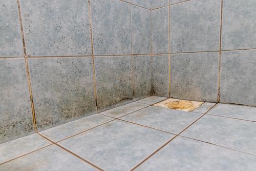 お風呂の床の黒ずみは何が原因？簡単に落とす方法と予防方法を解説！