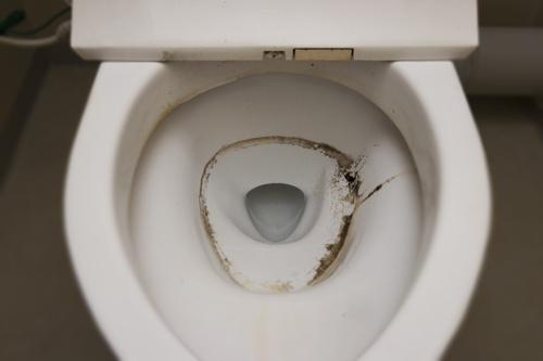 トイレの水垢を簡単に落とせる方法を紹介 予防に大切なポイントも 家事 オリーブオイルをひとまわし