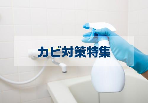 しつこいカビ汚れの徹底攻略法！