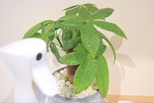 こまかいミストが気持ちいい!